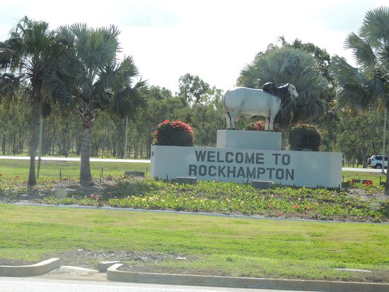 Um Rockhampton herum weiden 2,5 Millionen Rinder.
