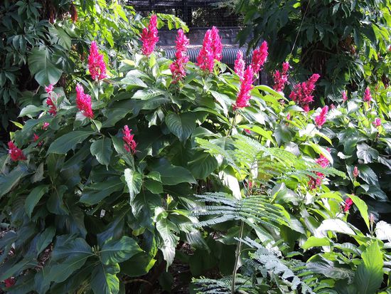 Postkarte an Katharina und Frank
Hallo und liebe Grüße nach BLk.  Bestimmt könnt ihr euch an eure Tour erinnern und vieles kommt Euch bekannt vor. Treten dann in Erfahrungsaustausch im WE Hallen Park. Bis bald