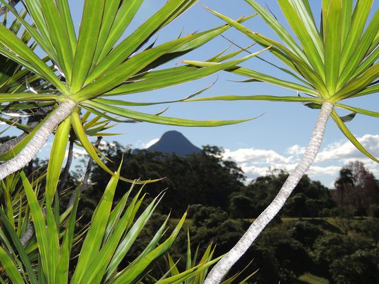 Postkarte an Petra und Matthias
Hallo,
herzliche Grüße senden wir an euch. Die Nationalparks bieten viele Wanderwege in herrlicher Natur. Das würde euch auch gefallen. Wir freuen uns auf ein Wiedersehen im Spaal.