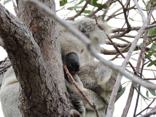 Sie hält ihr Baby ganz fest.