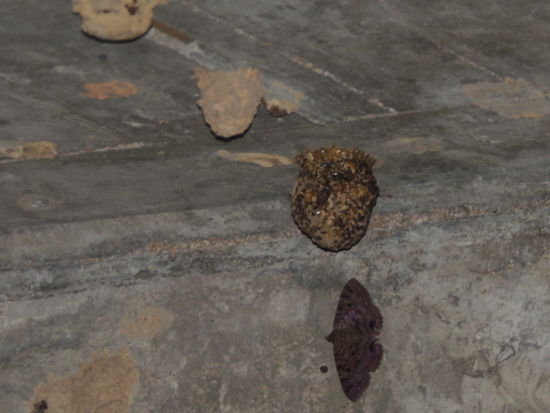 Wir kriechen in einen stockdunklen Bunker und entdecken beim Leuchten mit der Taschenlampe so einiges  