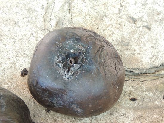 Schokoladenpudding sieht irgendwie anders aus