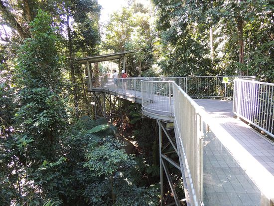Canopy Walk