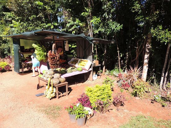 ...mit den leckersten Früchten.