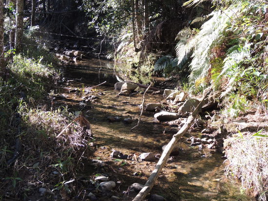 Das Camp Bächlein, verdrahtet.