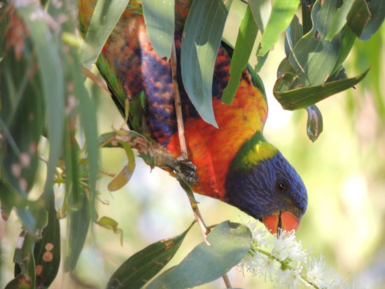 Das ist unser Nachbar!