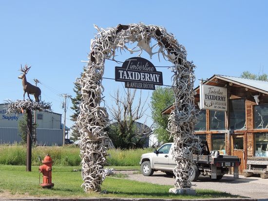 ein Tor aus Geweihen