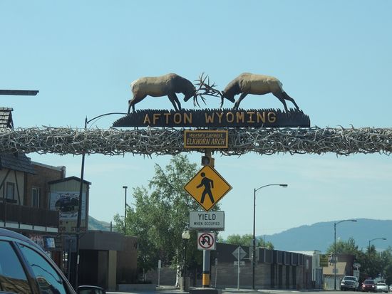 hier regiert der Hirsch