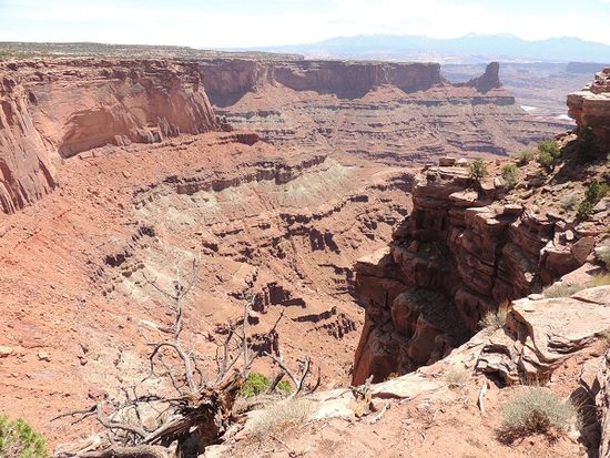 Canyon im Dead Horse Point State Park