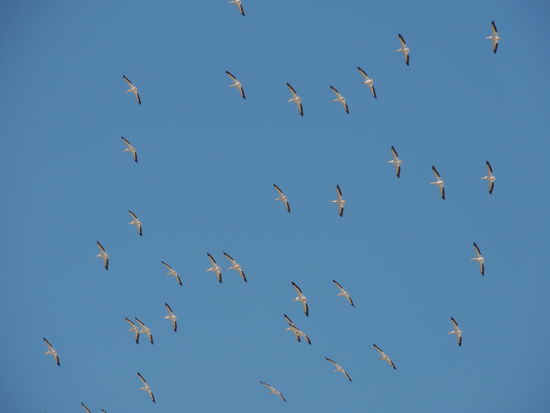 Amerika- es war trotz allem wieder schön bei dir und wir kommen bestimmt wieder, dann aber mit 2 Kreditkarten.