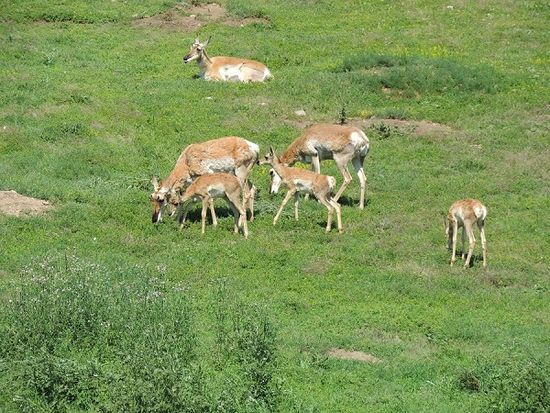 ...mit Familie