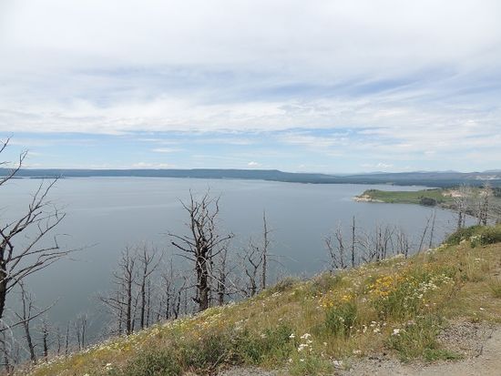 Yellowstone Lake