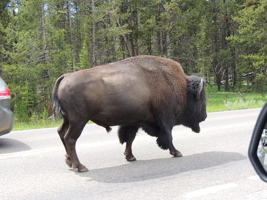 ...und tänzelt auf der Straße rum. Aber jetzt sind wir auf der Überhohlspur.