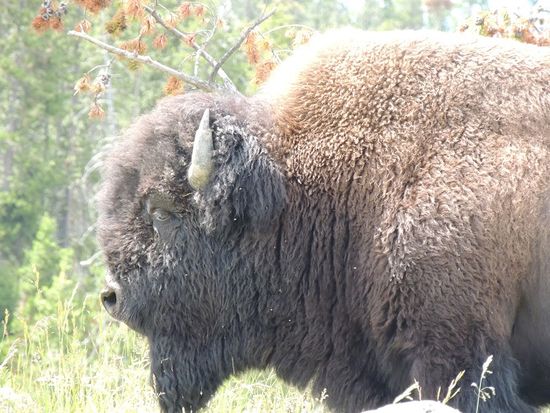 Ja, da guckst du! Schön brav bleiben.