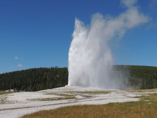 Er zeigt, was er kann.