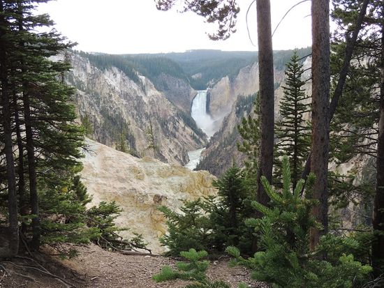 Yellowstone Grand Canyon