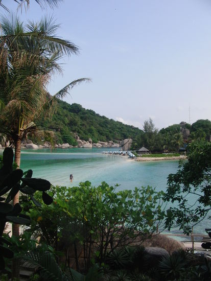 ...und so bei Flut (morgens)!!!