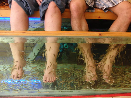 Na, wem gehören welche Füße???