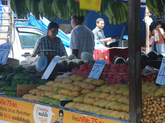 unzählige Mangosorten