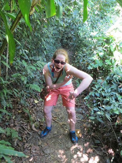 selbst Lindas Affenlockrufe können die Affen nicht locken...