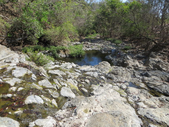 "Dieser Weg, wird kein leichter sein, dieser Weg wird steinig und schwer