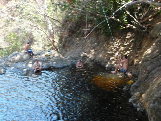 den großen Sprung wagen wir zwar nicht...