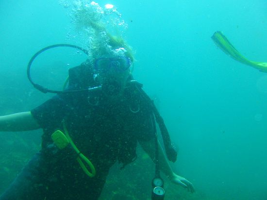 doch unter Wasser ist alles wieder mehr als gut