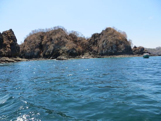 Isla Tortuga - heißt so, weil sie die Form einer Schildkröte hat und NICHT wie wir angenommen haben weil es hier so viele Schildkröten gibt