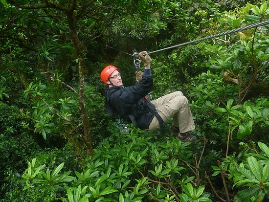 und dann seilen wir uns von Baum zu Baum