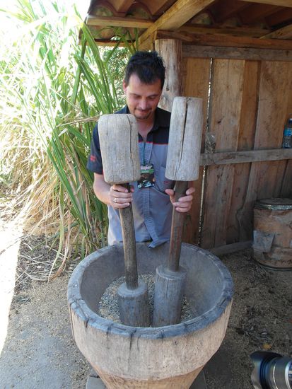 so wird die Silberhaut entfernt