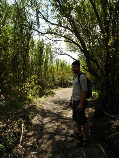unterwegs im Dschungel