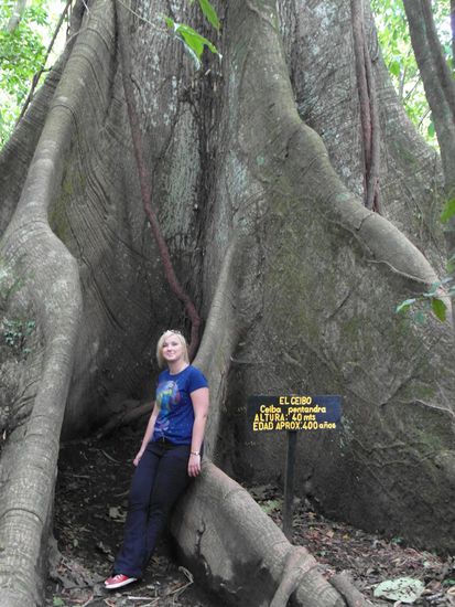 unterwegs sehen wir einen 400 Jahre alten Baum