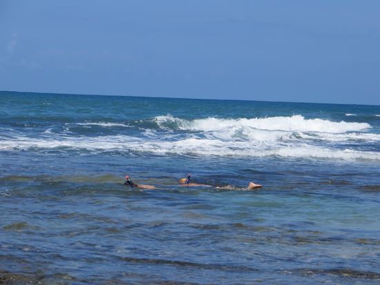 Lieblingsbeschäftigung