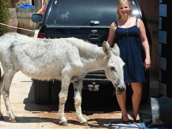 Steffi hat einen neuen Freund