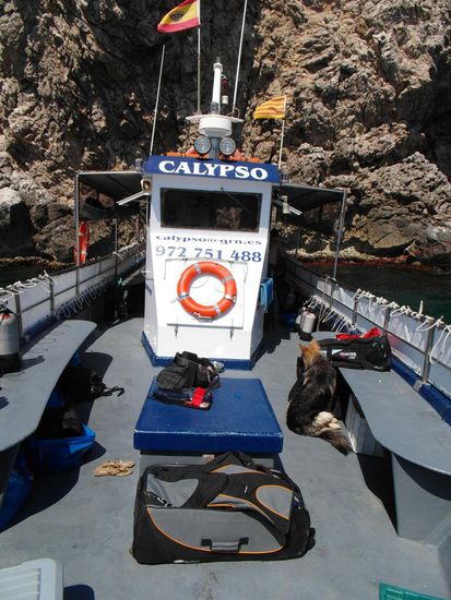 Wir wieder an Bord, alle anderen Taucher unter Wasser