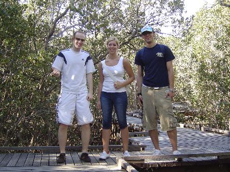 Und wir mittendrin - auf einem Holzsteg durch den Mangrovenwald!