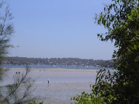 Die See bei Ebbe - da suchen nicht nur Vögel nach Nahrung...