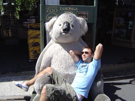 Der einzige Koala zum Anfassen - dann aber richtig.