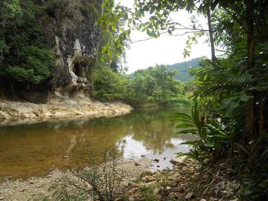 Swimming Monkey Hole