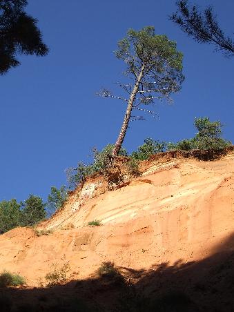 Im Abendlicht leuchten die Ockerfelsen besonders intensiv