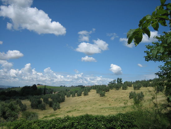 Blick vom Campingplatz über die Toscanischen Hügel