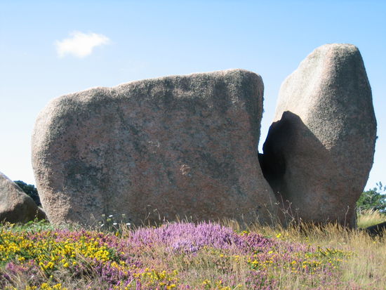 Skulpturen von der Natur geschaffen
