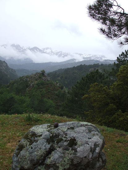 Schöne Ausblicke auch bei Regen
