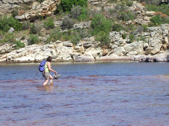 Der Wanderweg führt heute durch das Meer