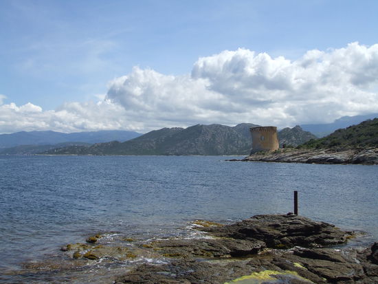 Genuesischer Wachturm am Punta Mortella