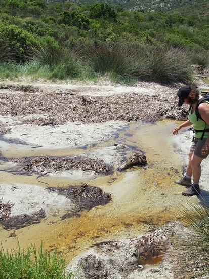Überall sprudeln Bäche aus der Macchia