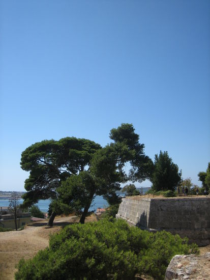 Auf der alten Festung