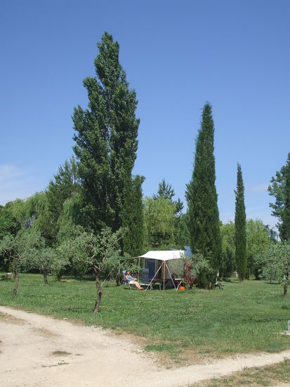 Plätzchen zwischen Zypressen und Olivenbäumchen