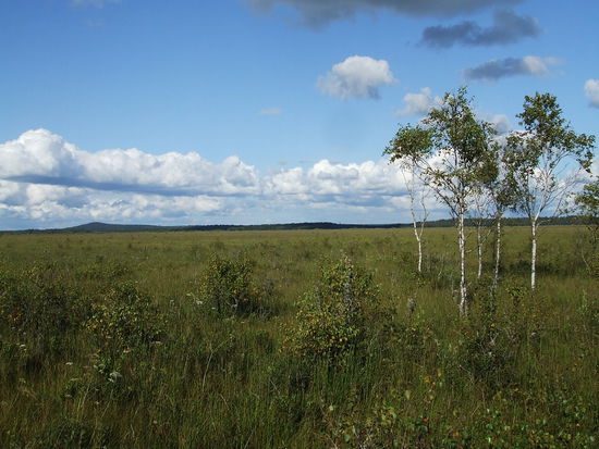 „Store Gangflyet“