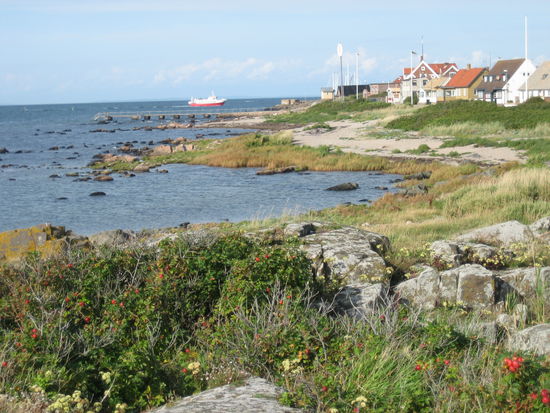 Torekov